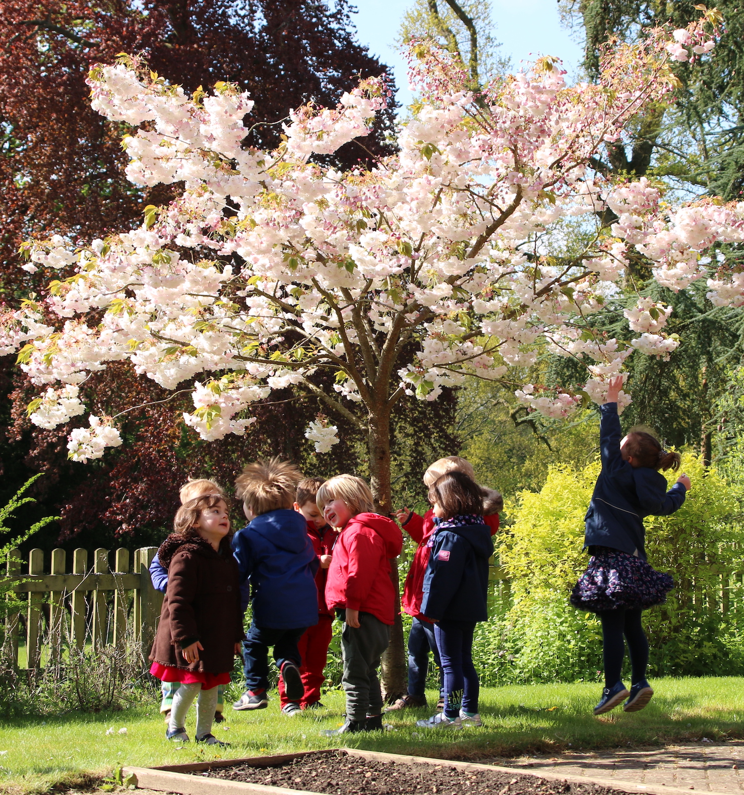 Edgeborough Nursery & Pre-School